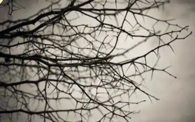 环境艺术设计-D级