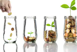 国际财务管理师证书（中级）