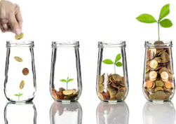 国际财务管理师证书（高级）