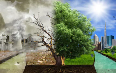 650111 环境艺术设计